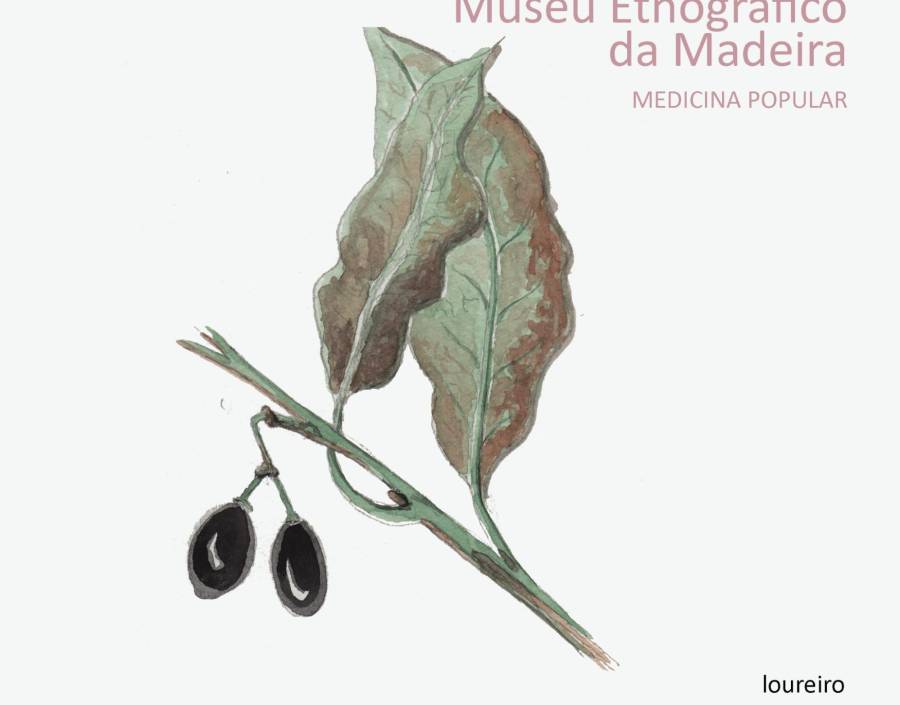 Medicina Popular | O loureiro