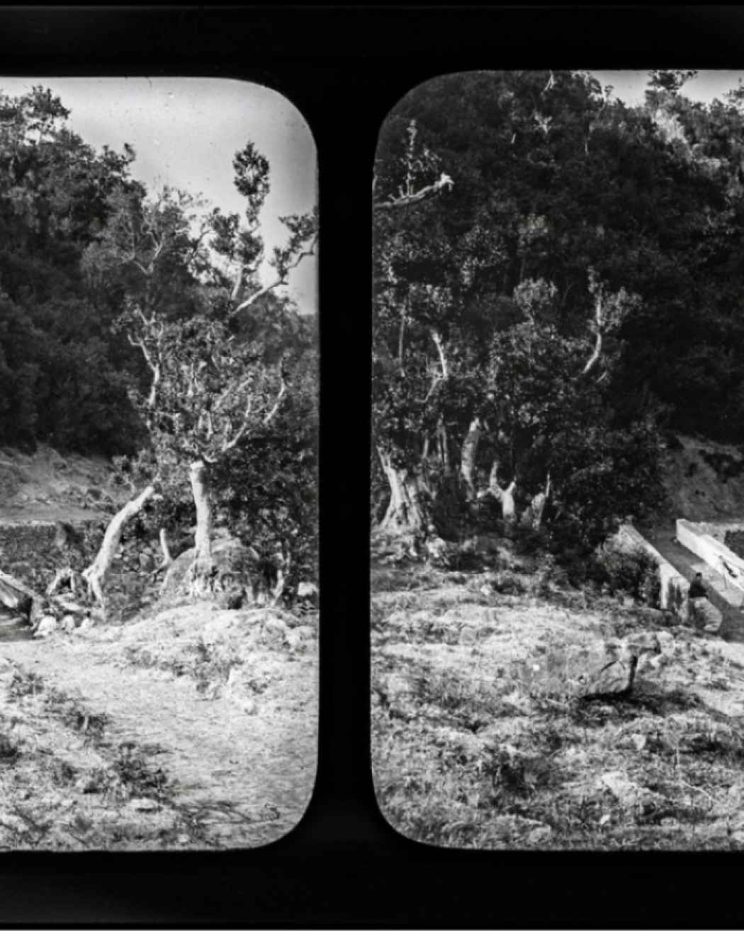 Vista parcial do sítio do Ribeiro Frio | Antes de 1889