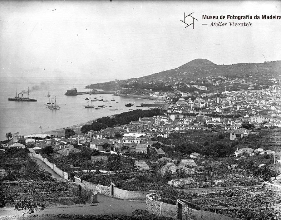 Vista da cidade e baía do Funchal