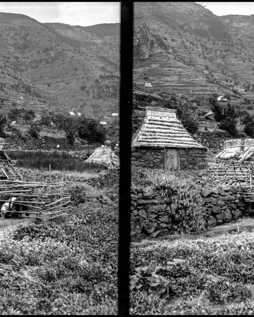 Conjunto habitacional no sítio do Piquinho, Machico | Anterior a 1905