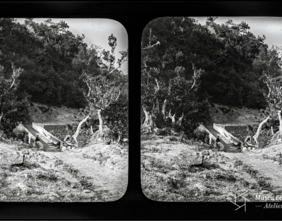  Vista parcial do sítio do Ribeiro Frio | Antes de 1889