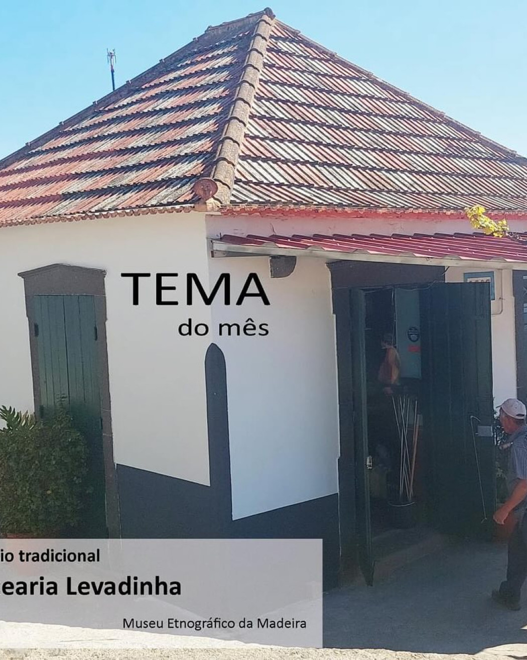 “Comércio Tradicional: Mercearia Levadinha” 