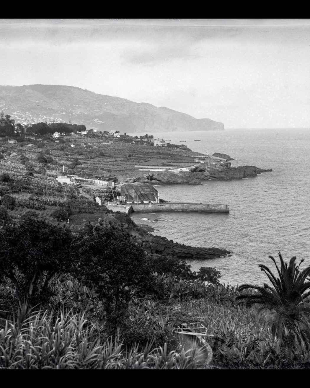 Cais do Carvão, posterior a 1903