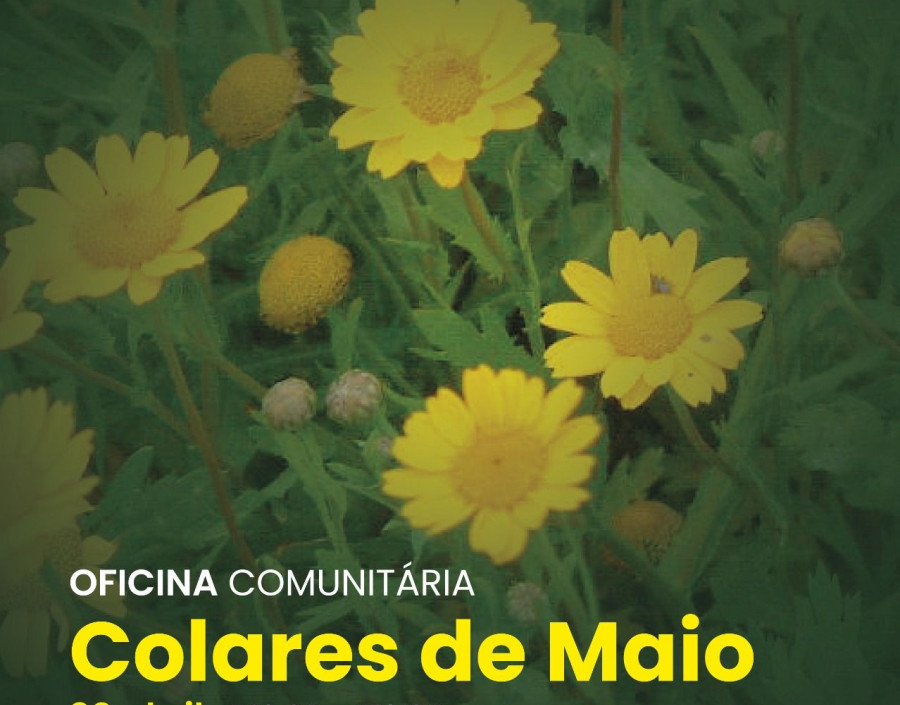 Oficina Comunitária “Colares de Maio”       