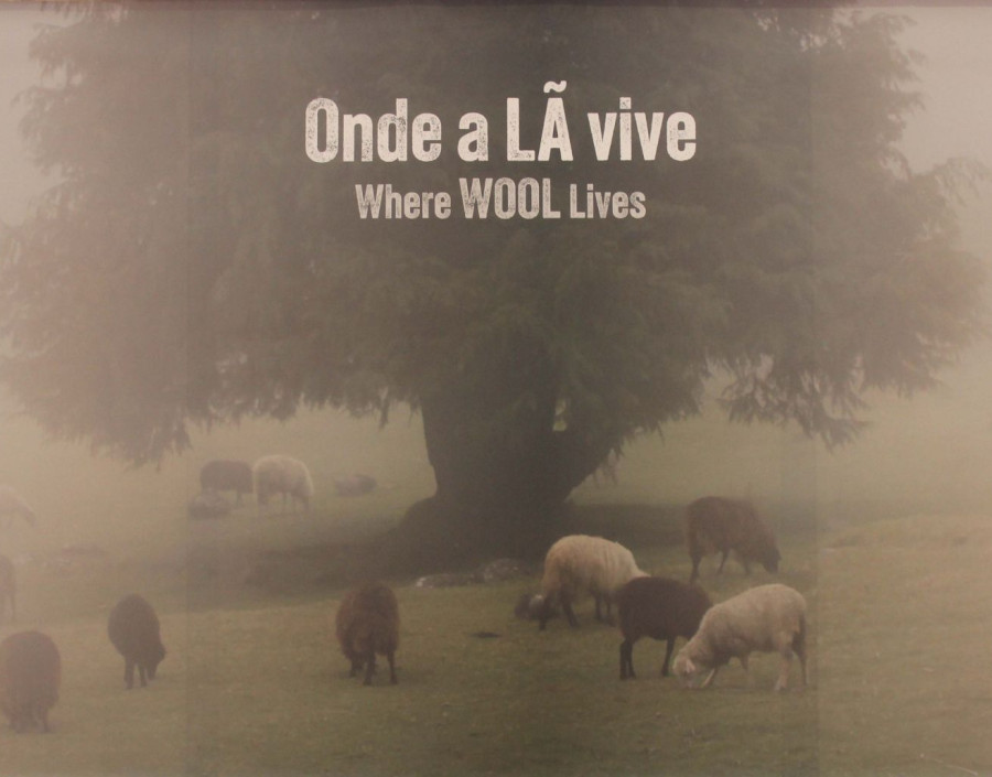  Exhibition “Where WOOL lives” – “Onde a LÃ vive” 