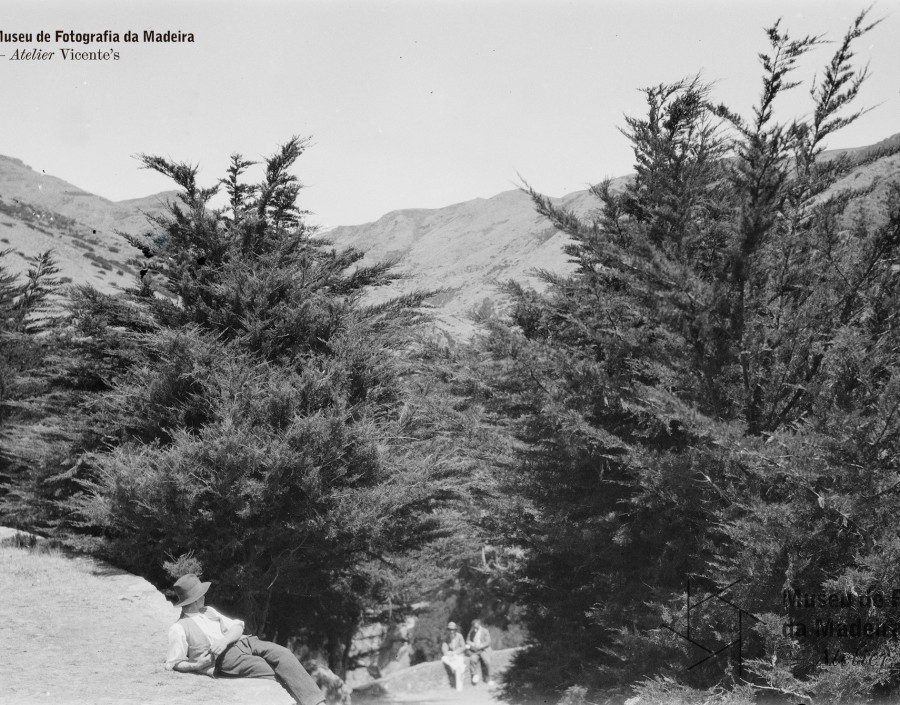 Paisagem natural | Posterior a 1930