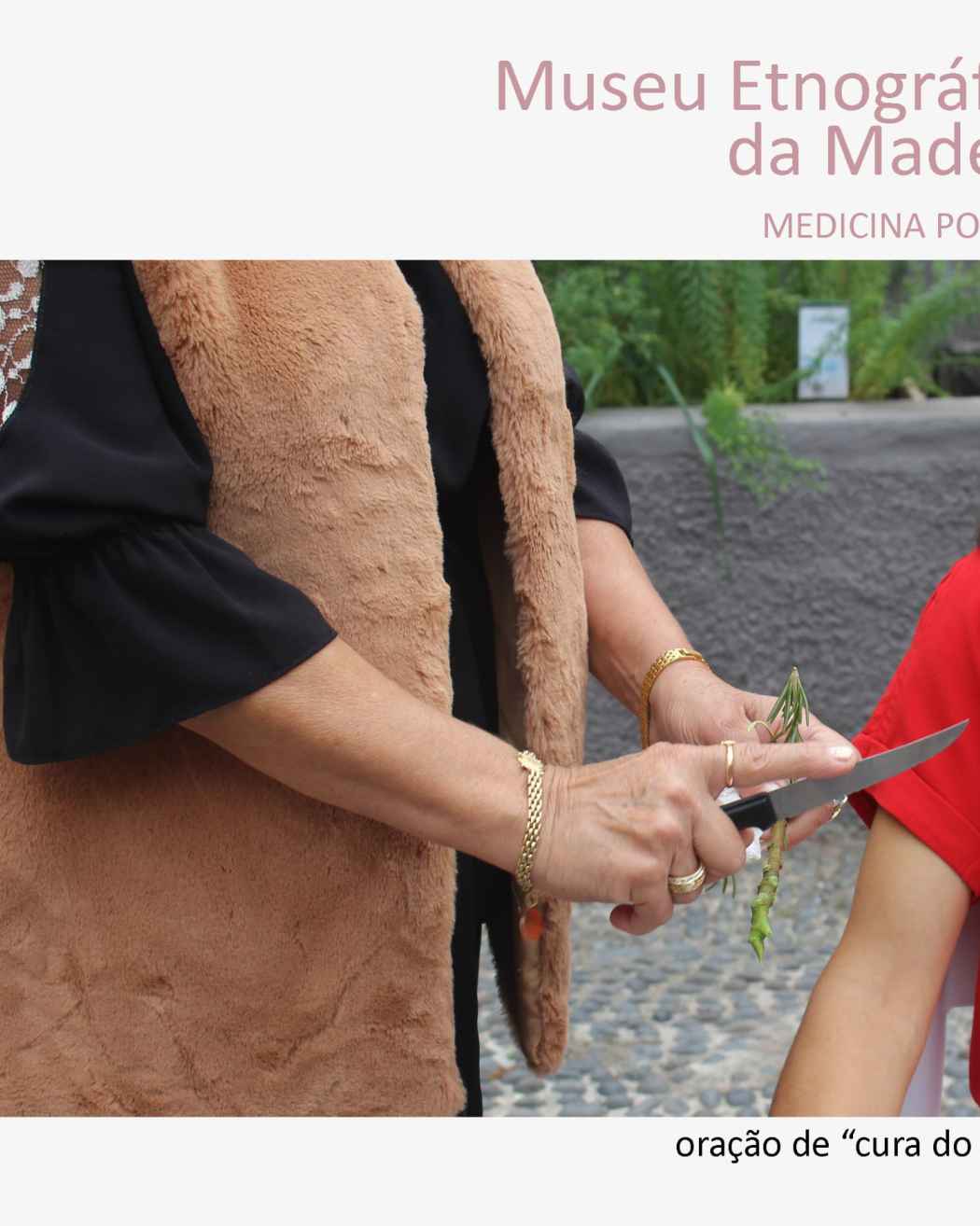 Medicina Popular | Oração de Cura de “cobro”
