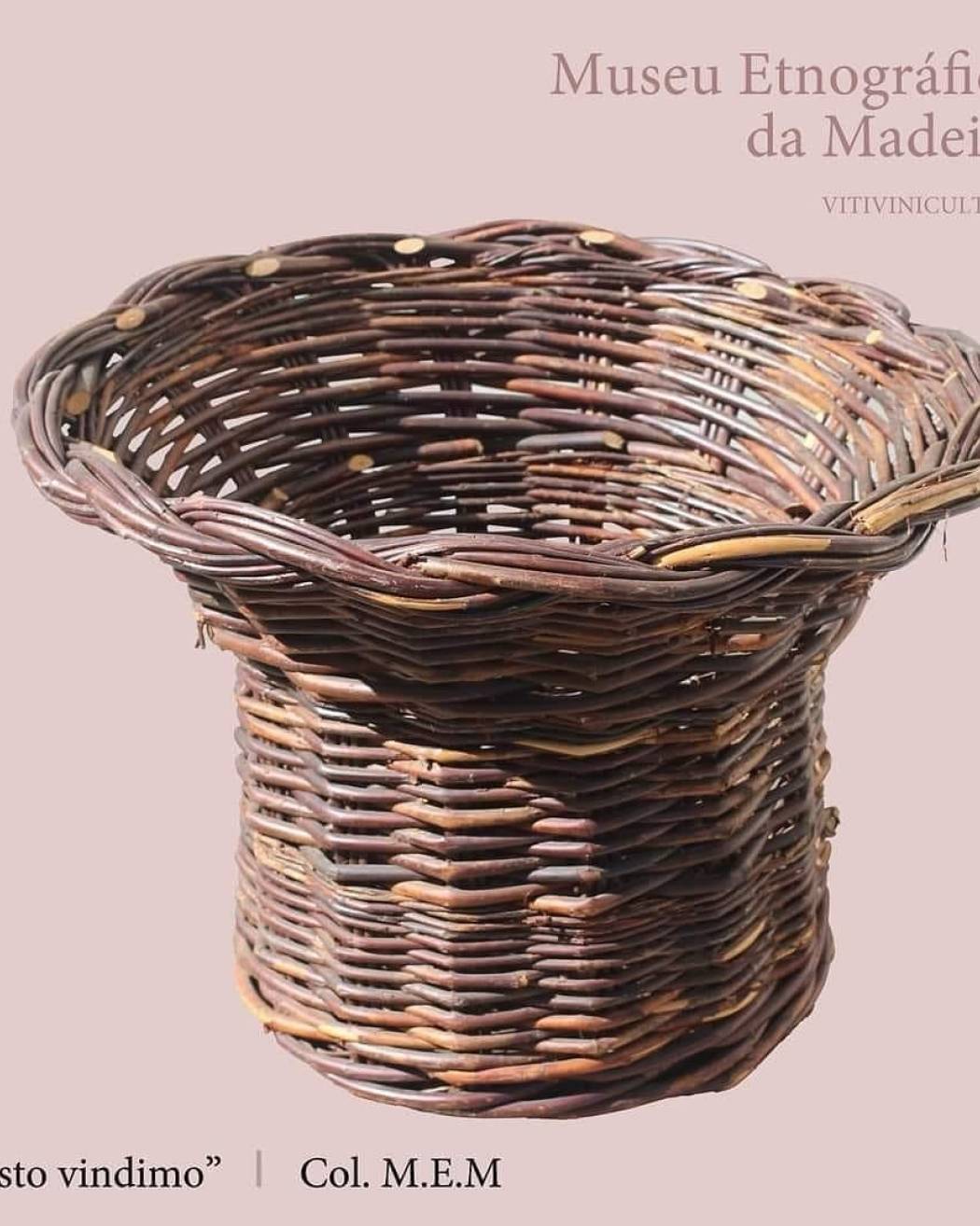 Vitivinicultura “Cesto Vindimo”