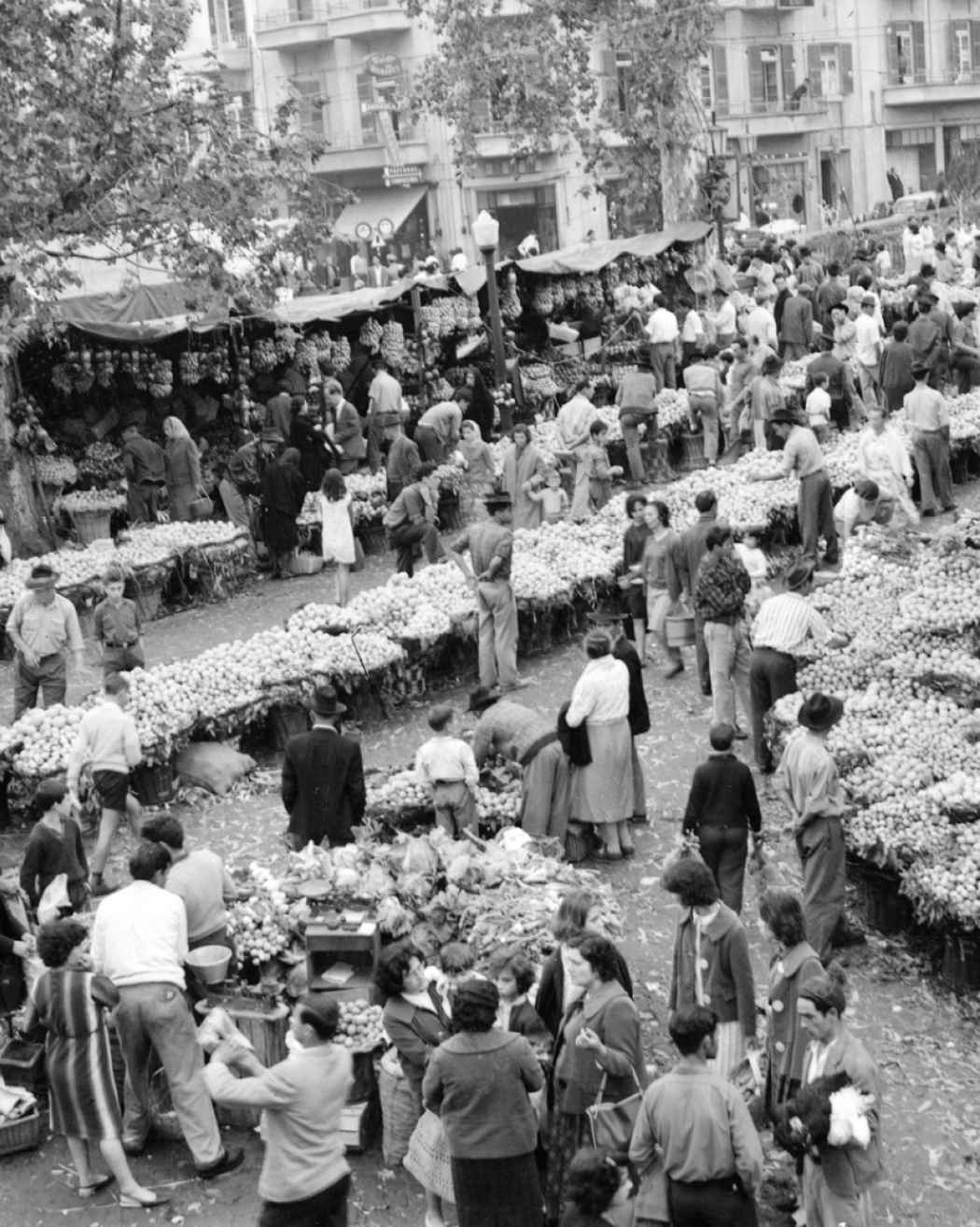 Venda de frutas e legumes | Entre 1940 e 1966