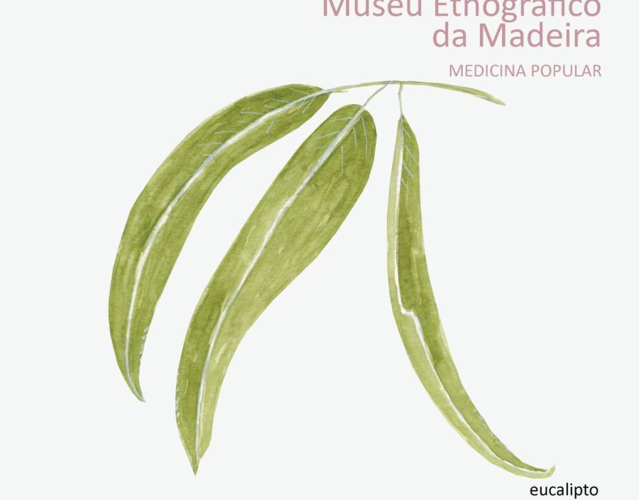 Medicina Popular | Eucalipto