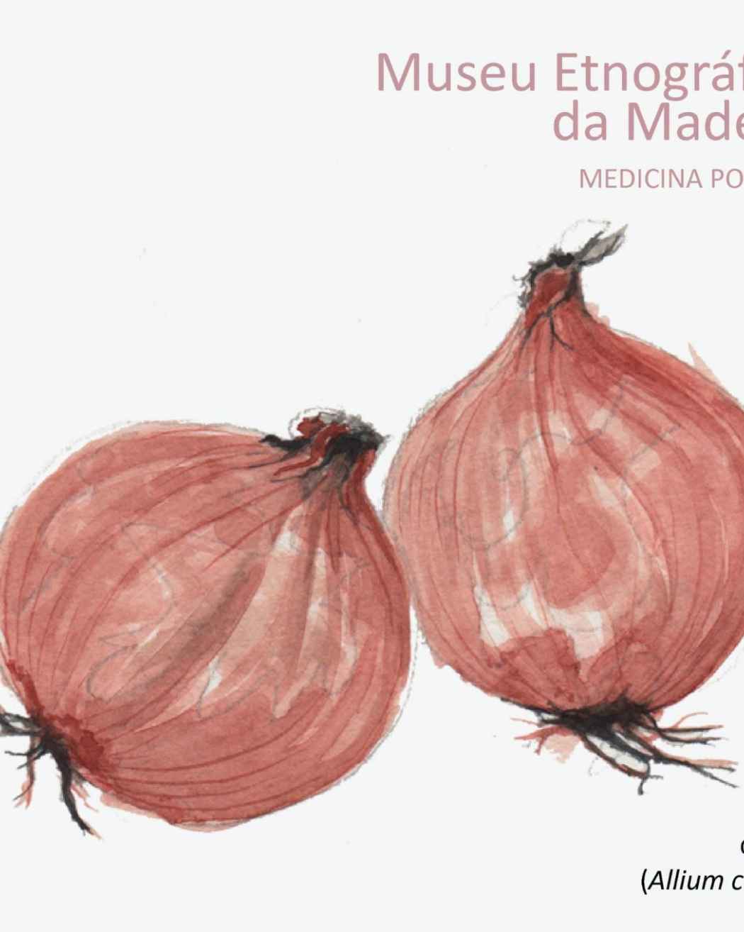 Medicina Popular | Cebola