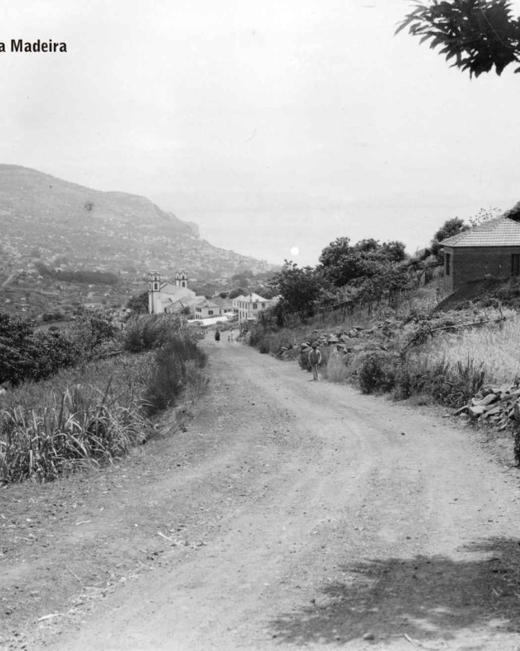 Caminho das Romeiras | 1940