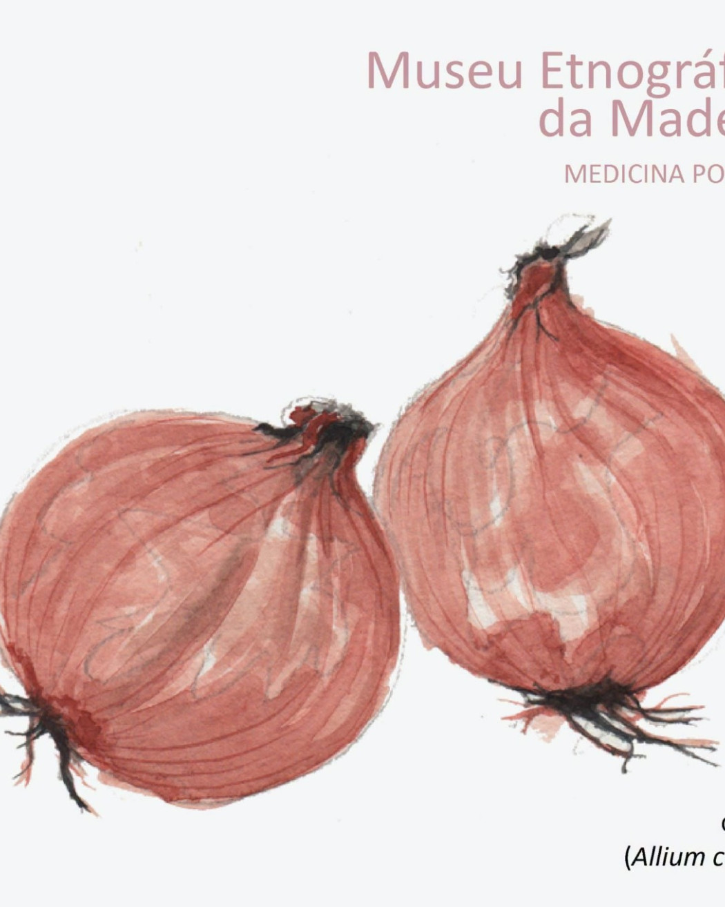 Medicina Popular | Cebola