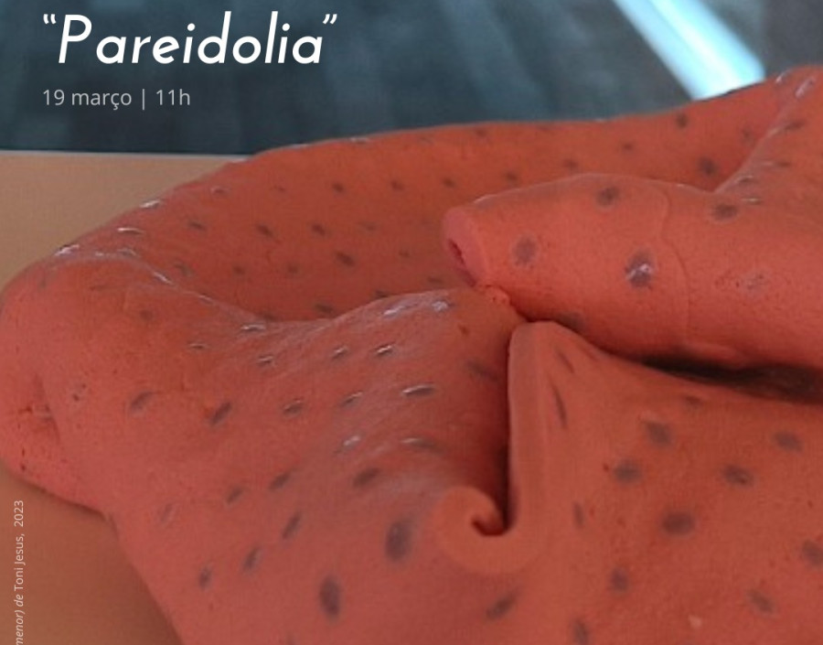 Visita temática “Pareidolia”