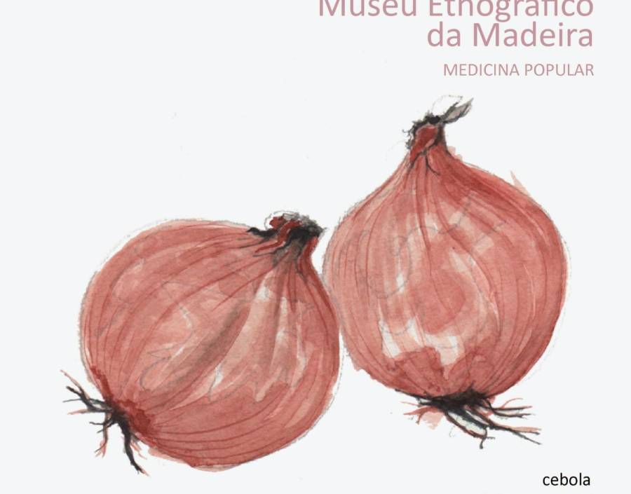 Medicina Popular | Cebola
